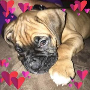 Meet your Posher, Connie